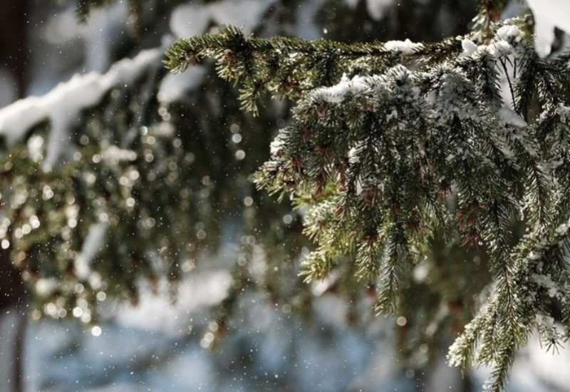 Zimski ponedjeljak, temperatura ispod nule