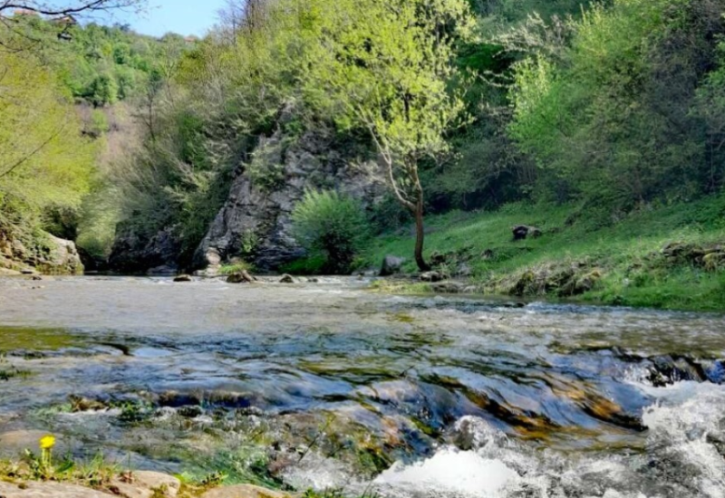 Iz Dajak kluba pozivaju na akciju: Planiraju očistiti korito rijeke Suturlije