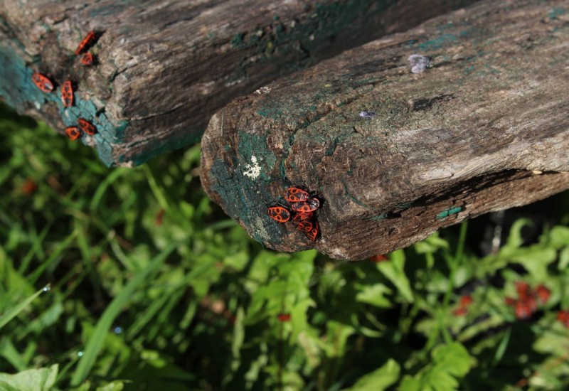 Ogrev sve skuplji, otežana nabavka uglja i peleta