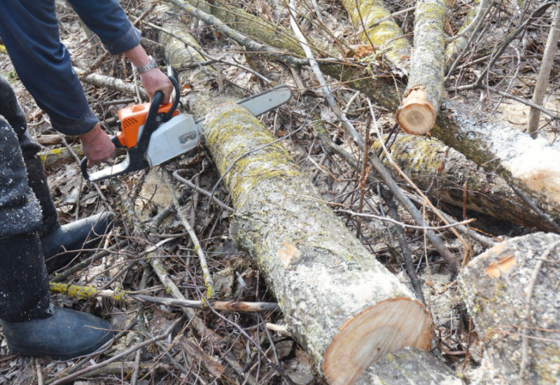 Ima li spasa za najveće gubitaše u Republici Srpskoj