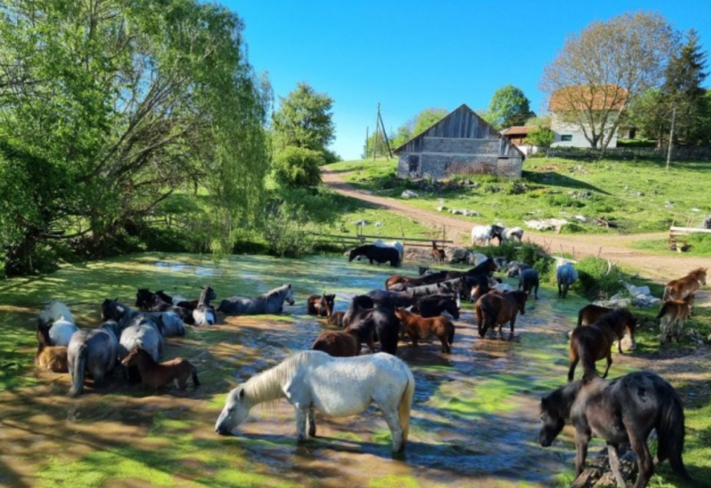 MIJATOVIĆ: Romanija na mapi značajnih turističkih destinacija