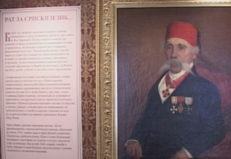 Vuk Stefanović Karadžić - Reformator srpskog jezika