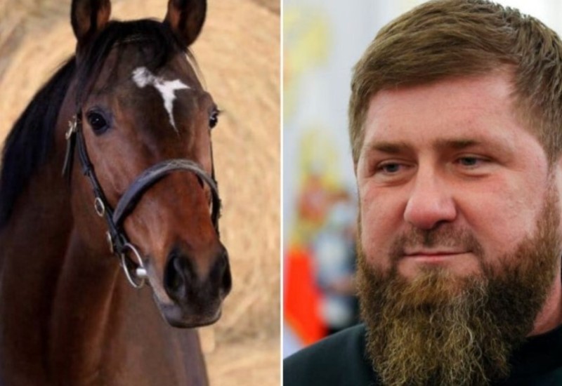 Vrijedan oko 70.000 KM: Ukraden konj Ramzana Kadirova