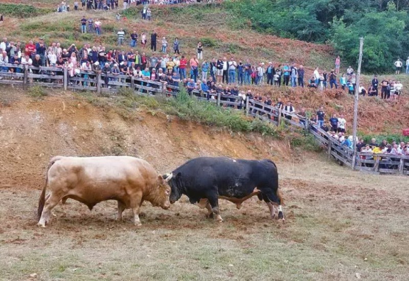 Bik Miško pobjednik Grmečke koride