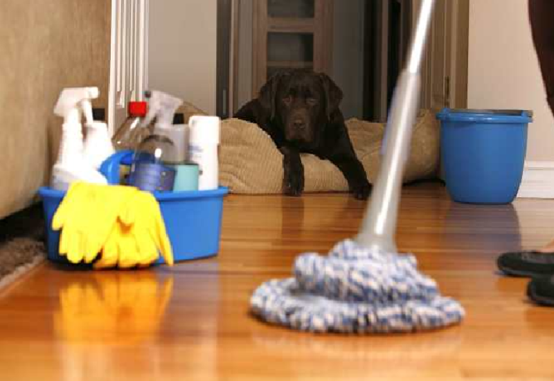 Ćišćenje kuće kao metoda smanjivanja stresa
