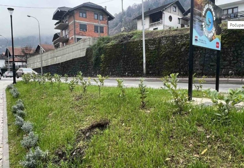 Počupane sadnice na novoj gradskoj plaži u Banjaluci