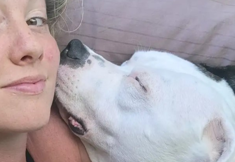 Uplašio se aparata za izbjeljivanje zuba: Pitbul vlasnici odgrizao nos