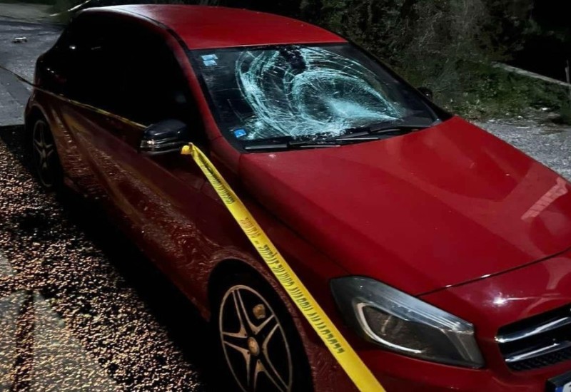 Dizdar: Četvorica brutalno pretučena i mučena u Stocu