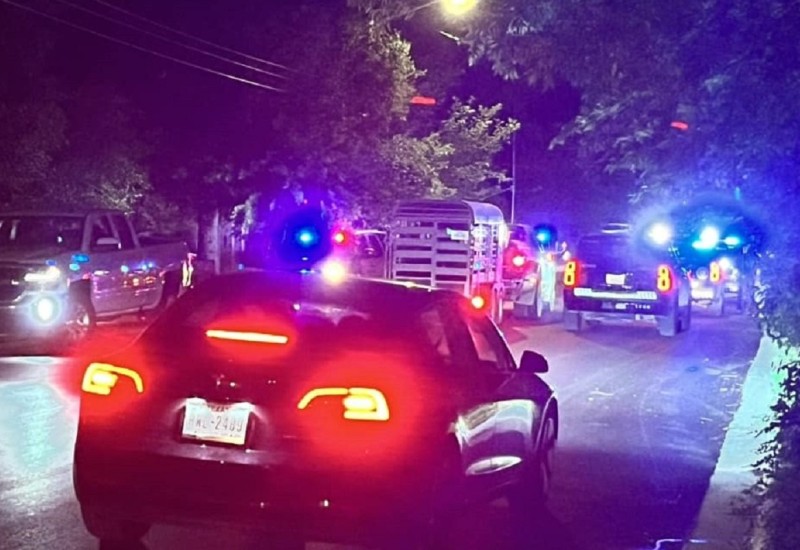 Odbjegli bik podigao cijeli grad na noge (VIDEO)