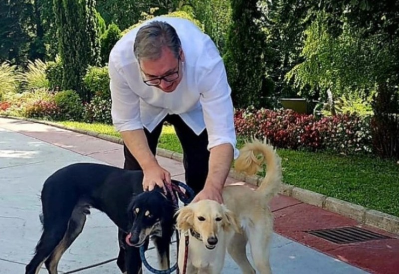 Oglasio se Vučić: Umorio sam se od bezočnih laži, spas je u šetnji sa Šarkijem i Zadom (FOTO)
