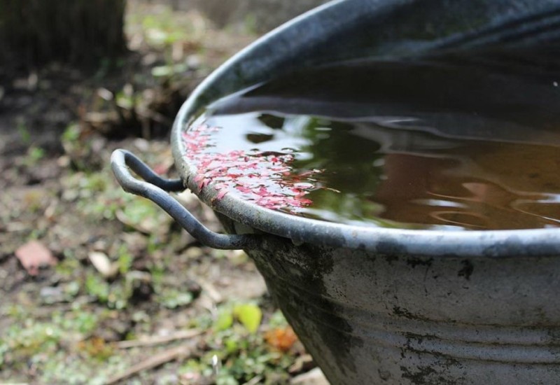Srpski povratnici koriste kišnicu jer vode nemaju