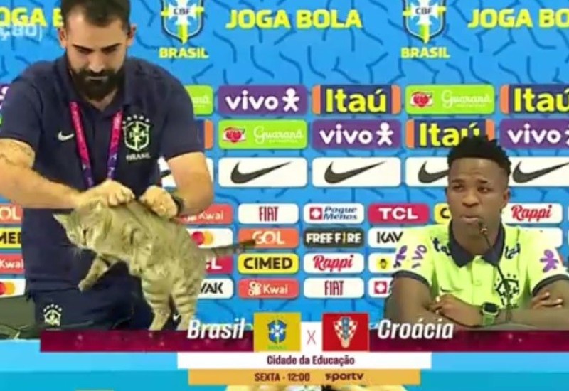 Mačka prekinula pres brazilske reprezentacije, portparol je bacio sa stola
