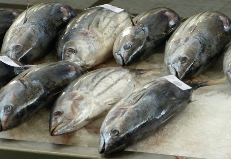 U Tokiju tuna prodata za 273.000 dolara