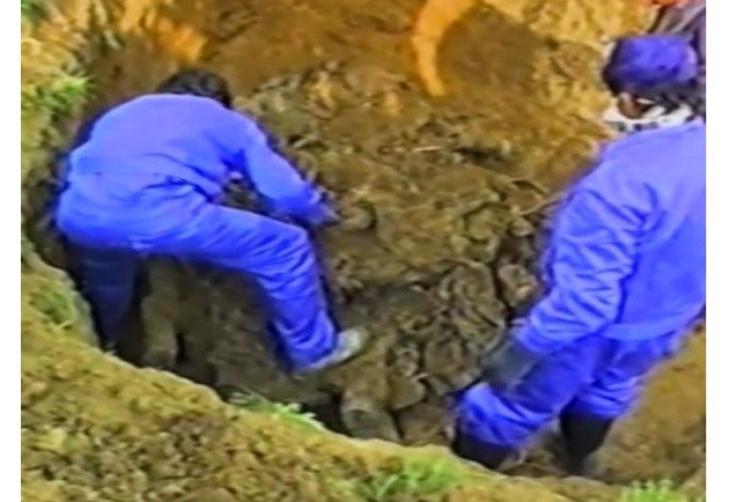 Kompletirani posmrtni ostaci borca Dobrivoja Kojića