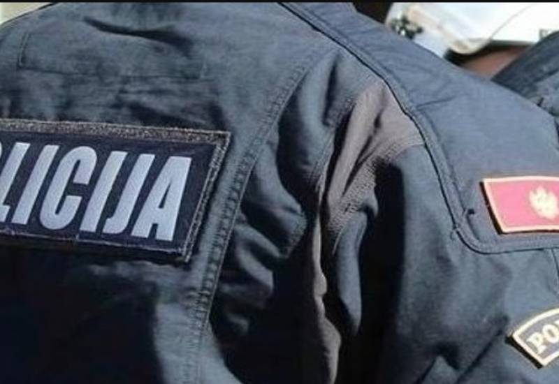 Specijalnom tužiocu Saši Čađenoviću određeno zadržavanje u pritvoru