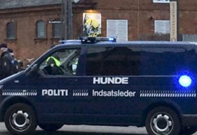 Dvojica mladića srpske nacionalnosti ubijeni u Danskoj