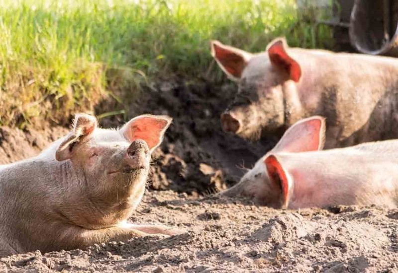 Vlada proglasila vanredno stanje u Semberiji