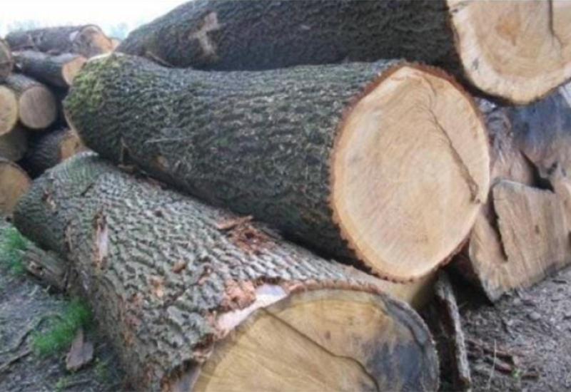 Prijedorčanin ilegalno prodao pilanske trupce u vrijednosti više od 200.000 KM