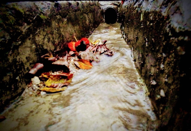 U toku sakupljanje lišća sa pješačkih staza u Banjoj Luci