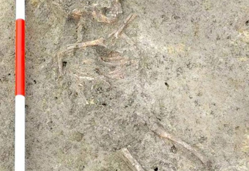 U Hrvatskoj pronađene kosti djeteta sahranjenog prije više od 6500 godina