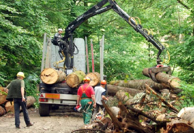 Povećana proizvodnja i prodaja šumskih sortimenata u Srpskoj
