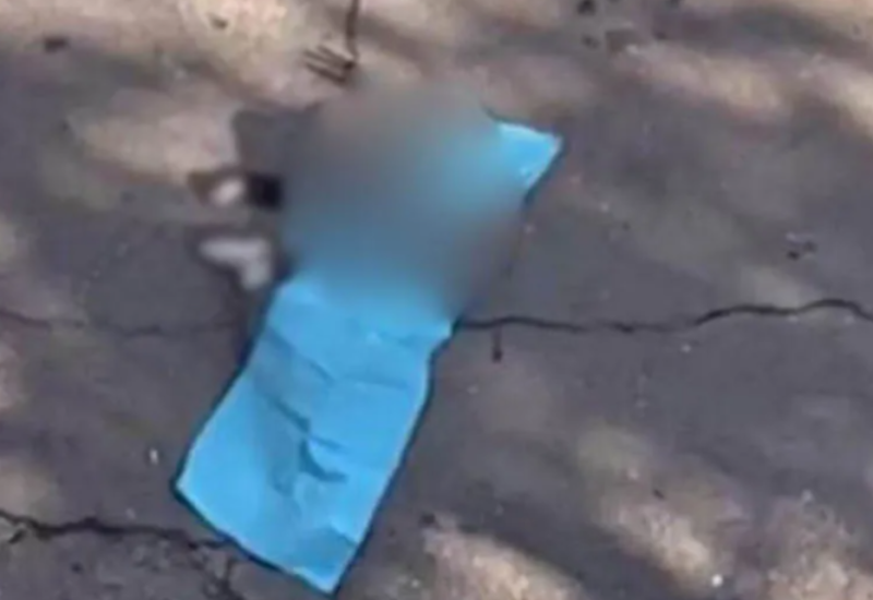 Žena skočila sa 11 sprata zgrade, nije joj bilo spasa