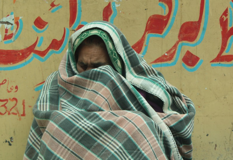 48 sati pakla u Zemun polju: Sin se iživljavao nad svojom majkom