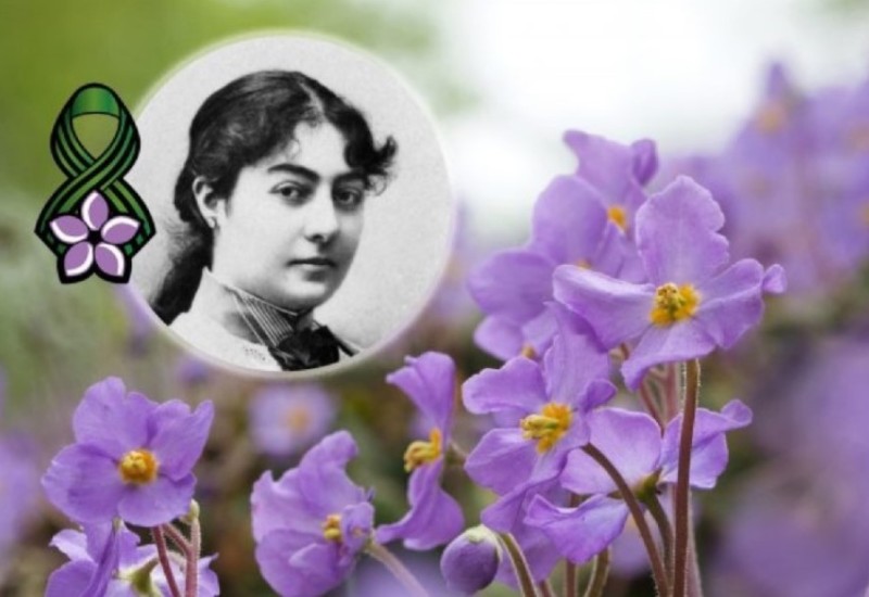 Dan primirja u Prvom svjetskom ratu: Šta je Natalijina ramonda