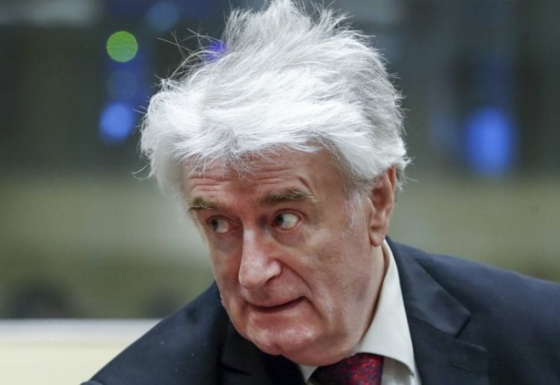 Petronijević: Karadžića drže kao zarobljenika, a ne zatvorenika