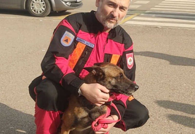 Pas tragač Tora dobio pohvale AFAD-a