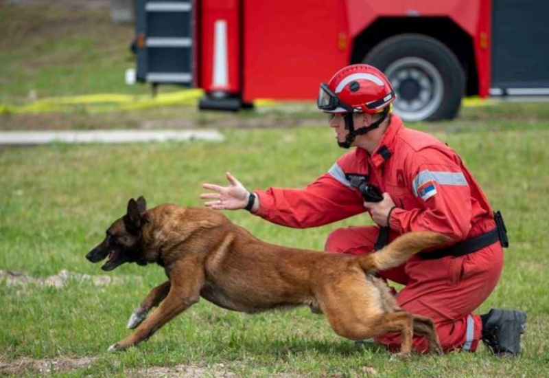 Zigi pas heroj: Nanjušio živu osobu ispod ruševina, počela akcija izvlačenja (FOTO)