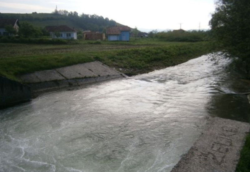 Utopio se u Blihi pokušavajući spasiti svoga psa