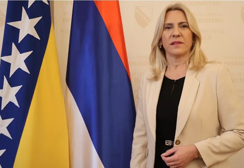 Cvijanović pisala Guterešu: Ako postoji odluka Savjeta bezbjednosti o imenovanju Šmita dostavite nam je