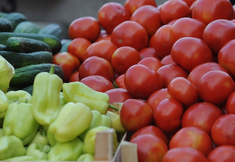 Zašto su krastavci gorki, paprika zakržljala, a paradajz ne sazrijeva