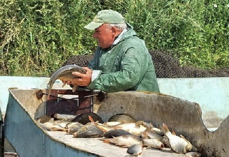 Cijene proizvoda poljoprivrede i ribarstva više za 35,3 odsto