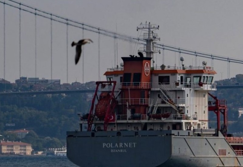 Bosforu: Brod sa ukrajinskim žitom stajao 11 dana