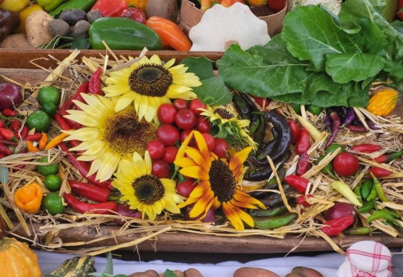 BANJA LUKA: Jesenji festival od 21. do 23. septembra, prijave u toku