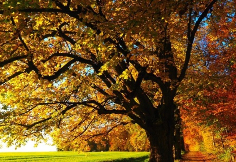 Sladić: Uživajte u ugodnom i mirnom oktobarskom vremenu