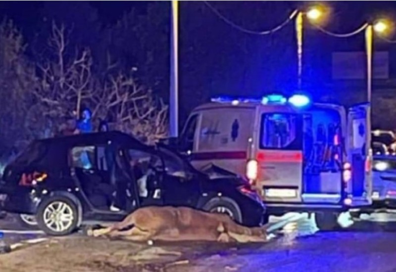 Majka fudbalera Borca poginula u saobraćajnoj nesreći