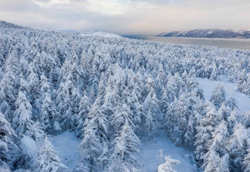Ledena zvijer ide na Evropu! „Sibirska eksplozija“ prijeti da okije kontinent: Minusi do –13, meteorolozi upozoravaju na najjači udar zime