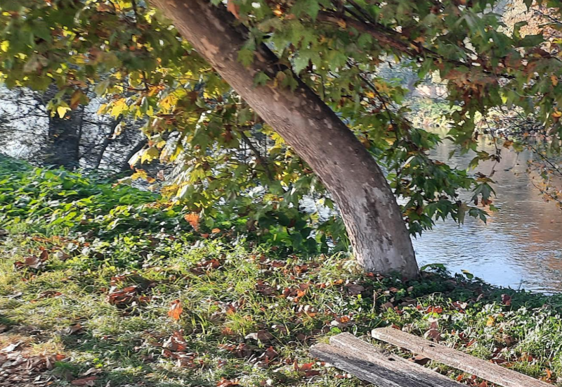 Evo kakvo nas vrijeme očekuje danas