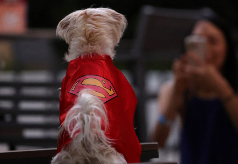 Nove rasprave: Da li je Supermen metafora za sukob Izraela i Gaze