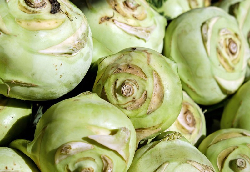 Suša prepolovila prinose kupusa, novi udari na budžete građana