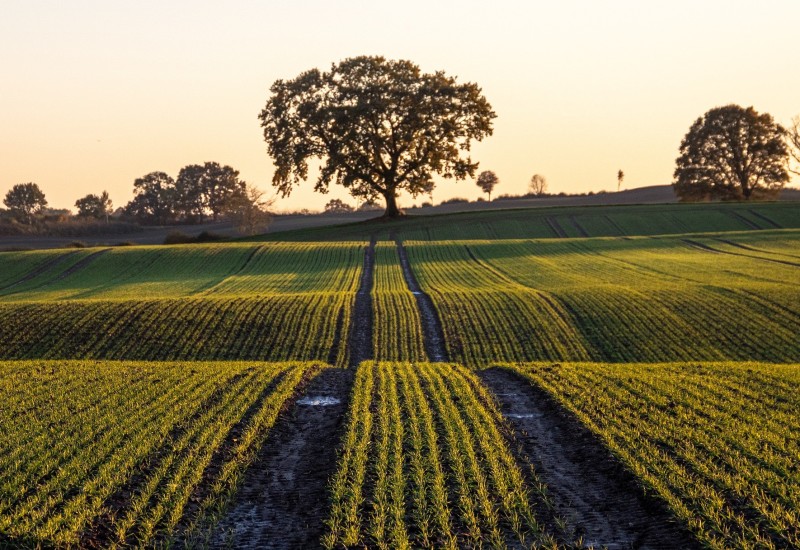 U Srpskoj počinje probni popis poljopirvrede