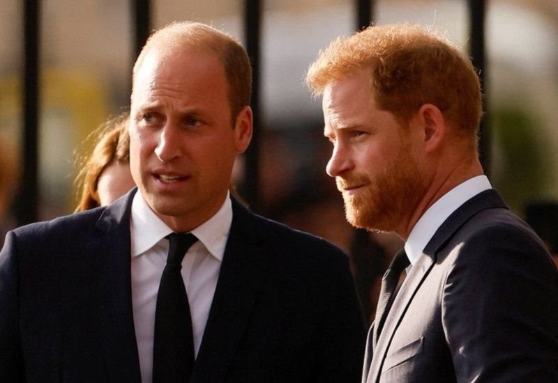 Princ Hari i Vilijam u svađi