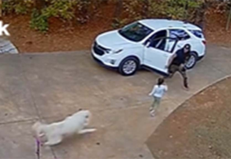 Tata heroj spasio dijete od agresivnog psa  VIDEO