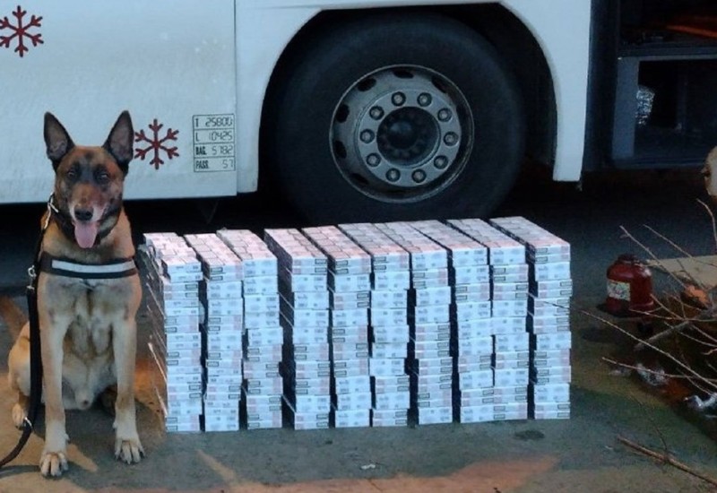 Pas nanjušio 50.000 cigareta u autobusu (FOTO)