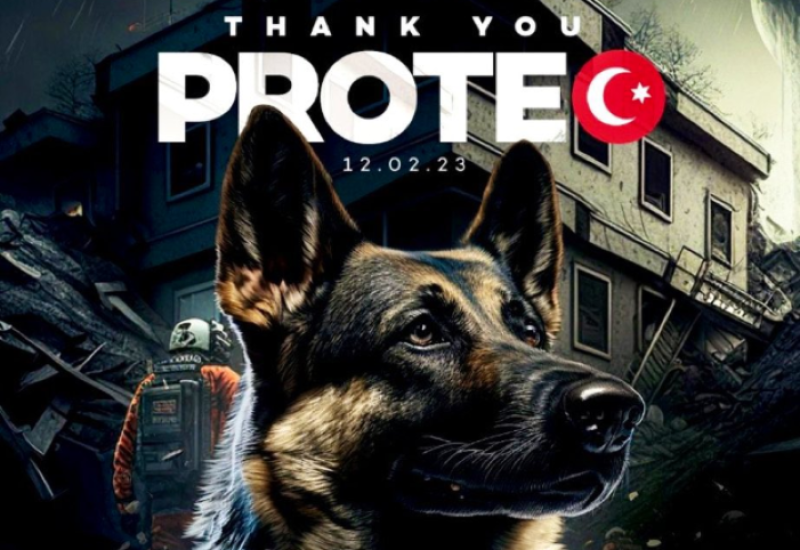 Sahranjen pas koji je poginuo spasavajući ljude nakon zemljotresa (FOTO)