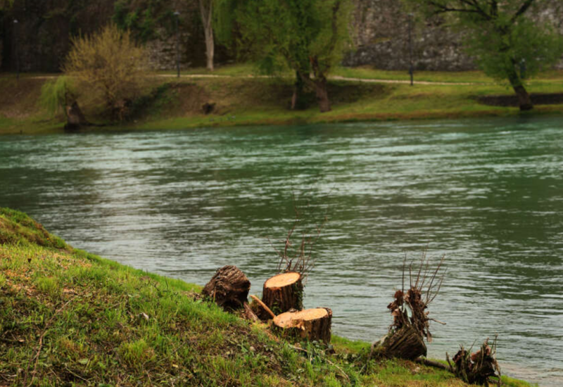 "PO ČIJEM NALOGU" SNSD traži utvrđivanje odgovornosti zbog sječe stabala uz Vrbas