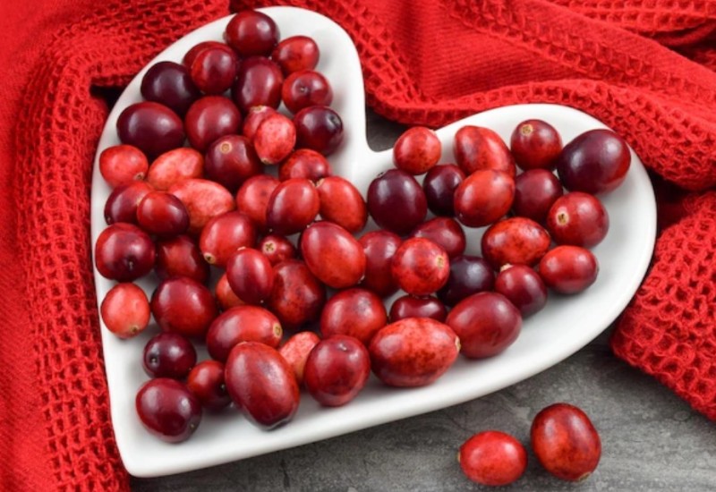 Čaj od brusnice, topli napitak koji rješava mnoge tegobe